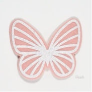 Butterfly wings